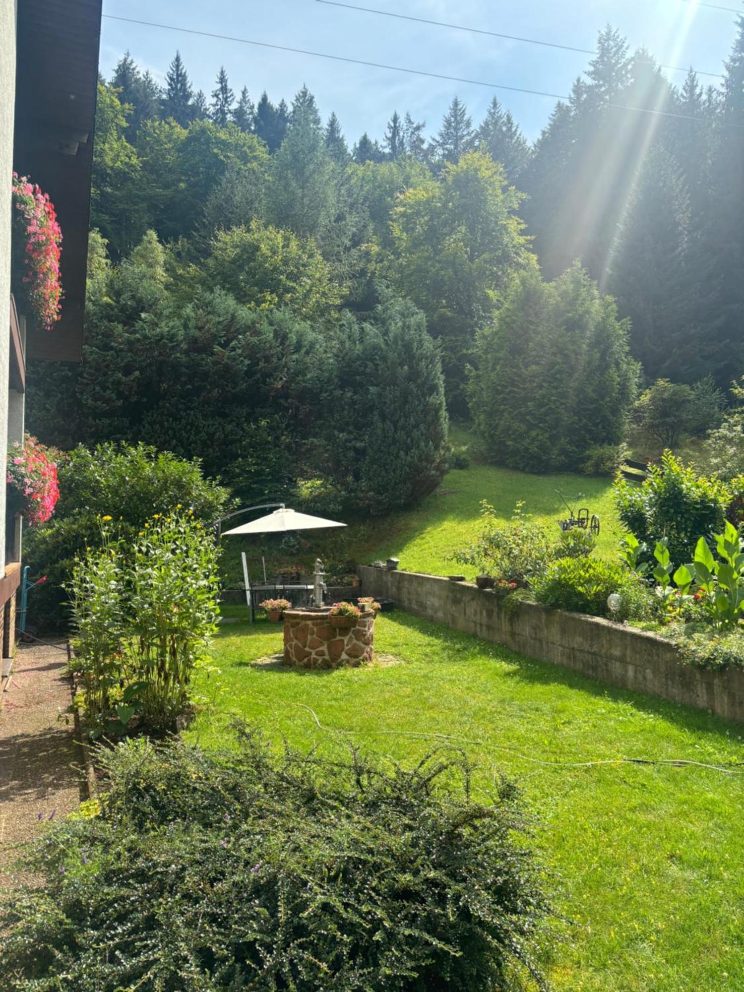 Pension Ernst Im Herzen Des Pfaelzerwaldes Mit Kueche Hotel Elmstein Exterior photo